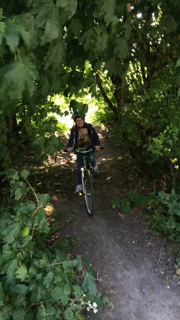 13217461_1237146852970134_3238440747858737698_o