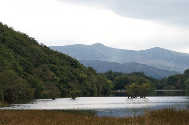 Precipice Walk, Dolgellau