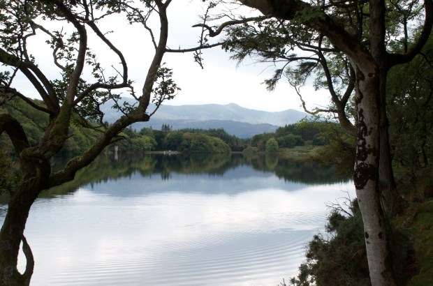 Precipice Walk, Dolgellau