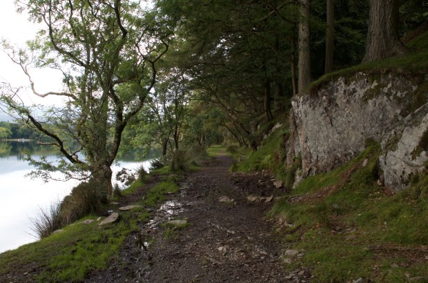 Precipice Walk, Dolgellau
