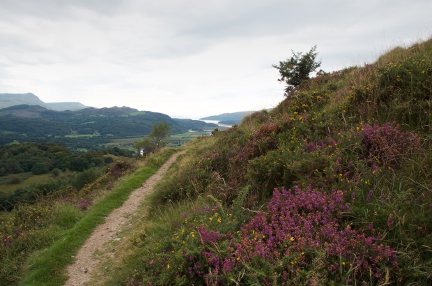 Precipice Walk, Dolgellau