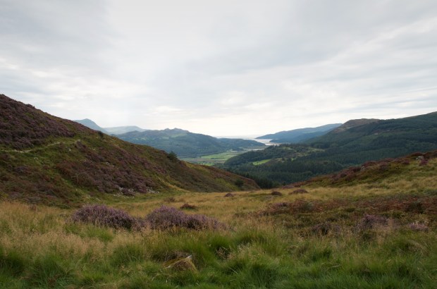 Precipice Walk, Dolgellau
