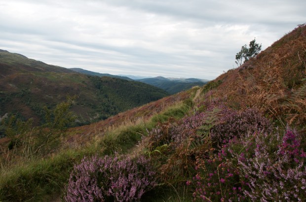 Precipice Walk, Dolgellau