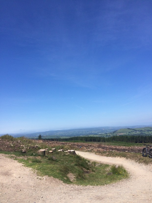 Llandegla Forest, North Wales