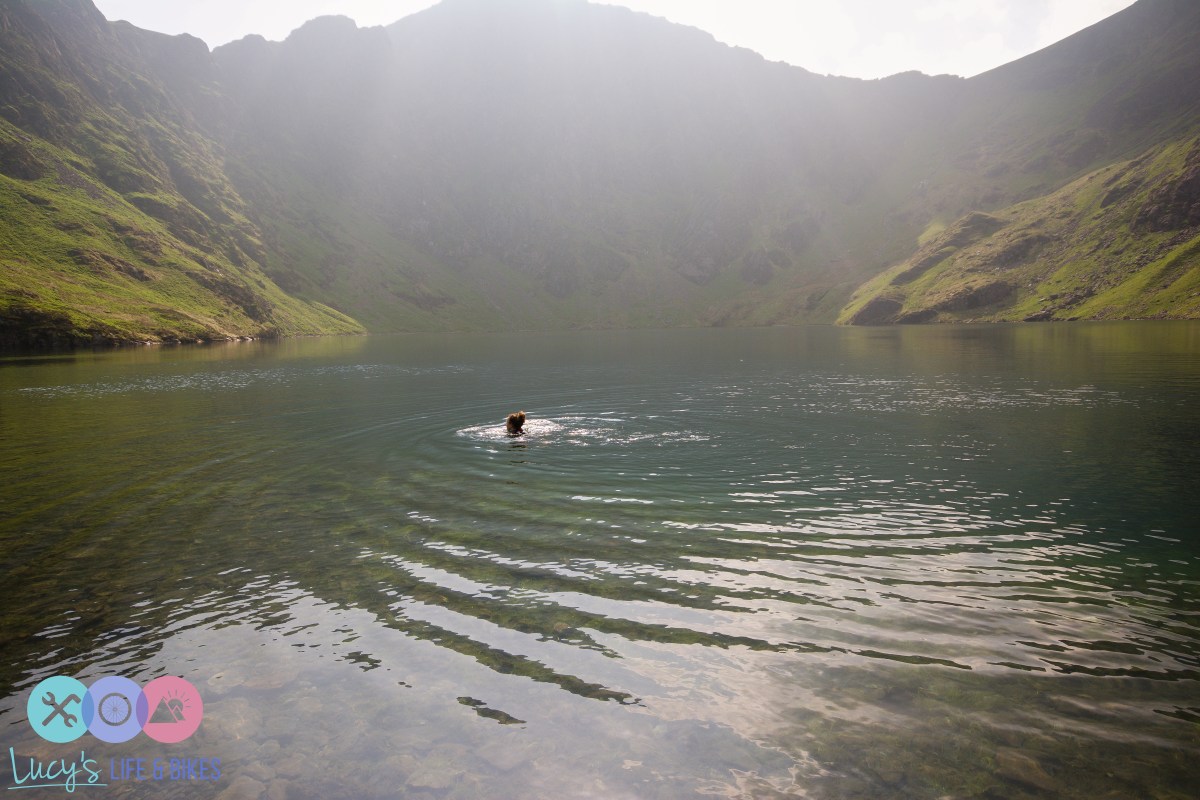 Swimming in Llyn Cau, Cadair Idris