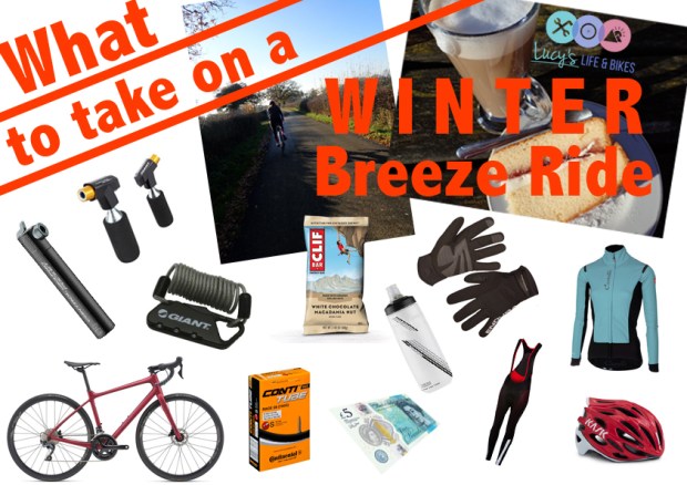 Winter Breeze Kit