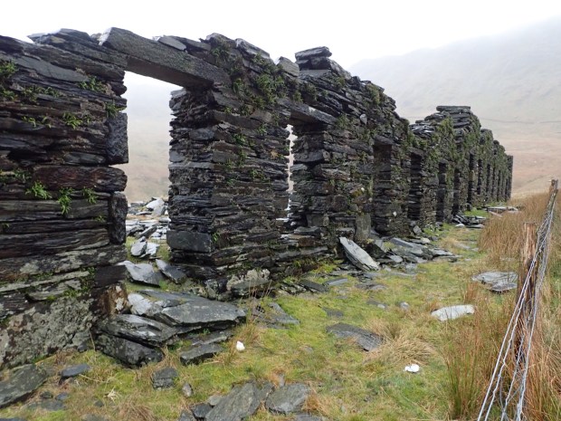 Snowdon on New Year's Day