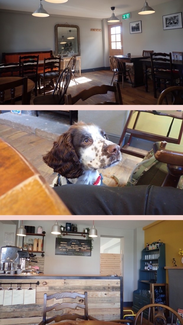 Durham Heifer, Cheshire